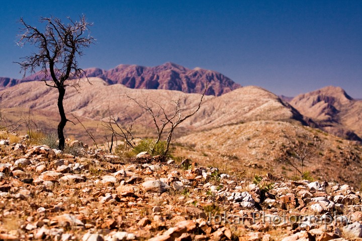 Larapinta_20080601_141 copy.jpg - Hilltop lookout, between Rocky Bar Gap and the Finke River